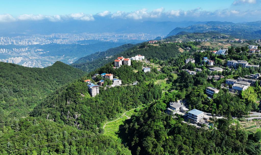 鼓岭情缘再续新篇