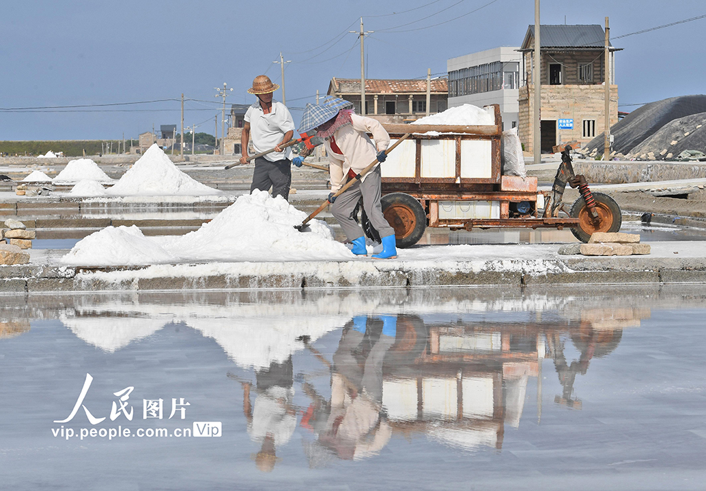 福建泉州：盐场作业插图
