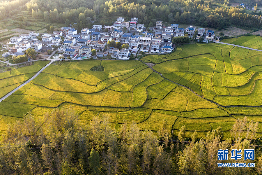 9月12日,位于大山深处的河南省平顶山市鲁山县赵村镇小尔城村,200余亩