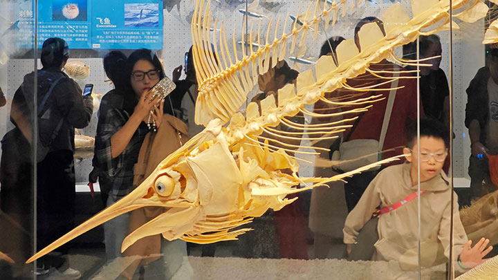 天津：国家海洋博物馆迎客来
