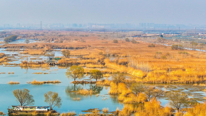 初春湿地景如画