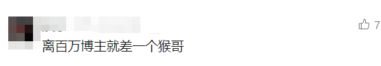 游客手机被猴子抢走，捡回后意外发现“拍得比自己还好”插图4
