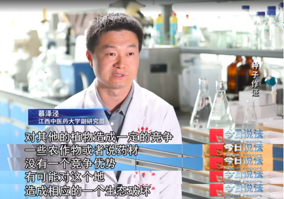 播下白术种子，却长出满地杂草？药田怪象频发，经济损失近1800万元……插图3