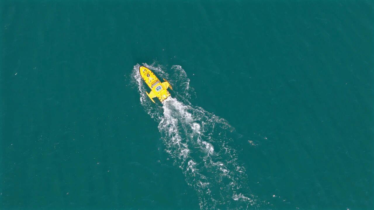 视频丨无人潜航器与磁探机器狗联手作战 实训现场精彩画面首次曝光