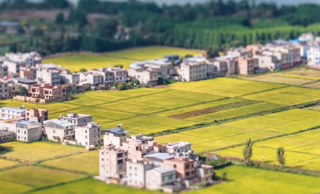 当移轴镜头遇见云南稻田