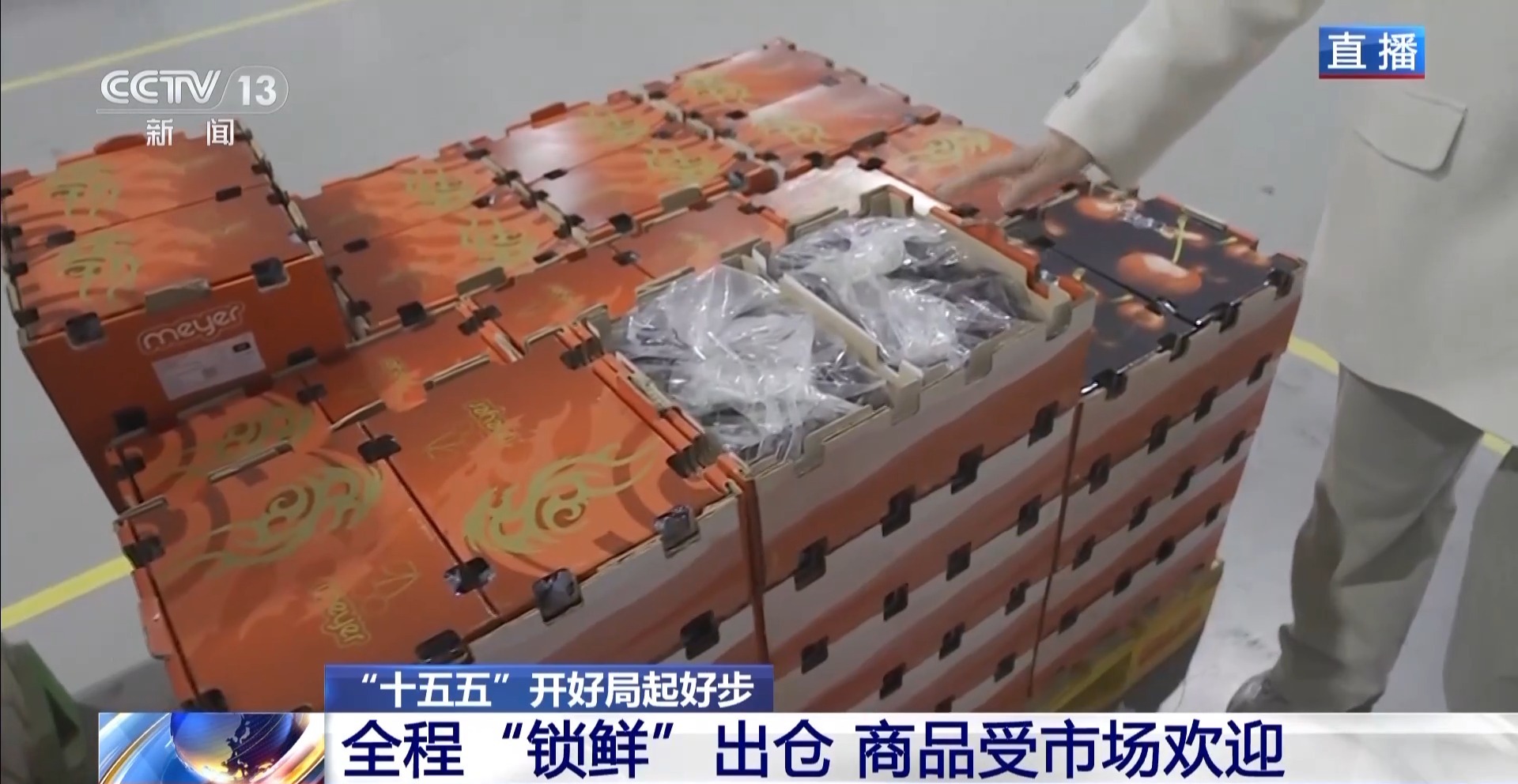 多式聯運打造生鮮“快車道”助力全球好物走進千家萬戶產業園