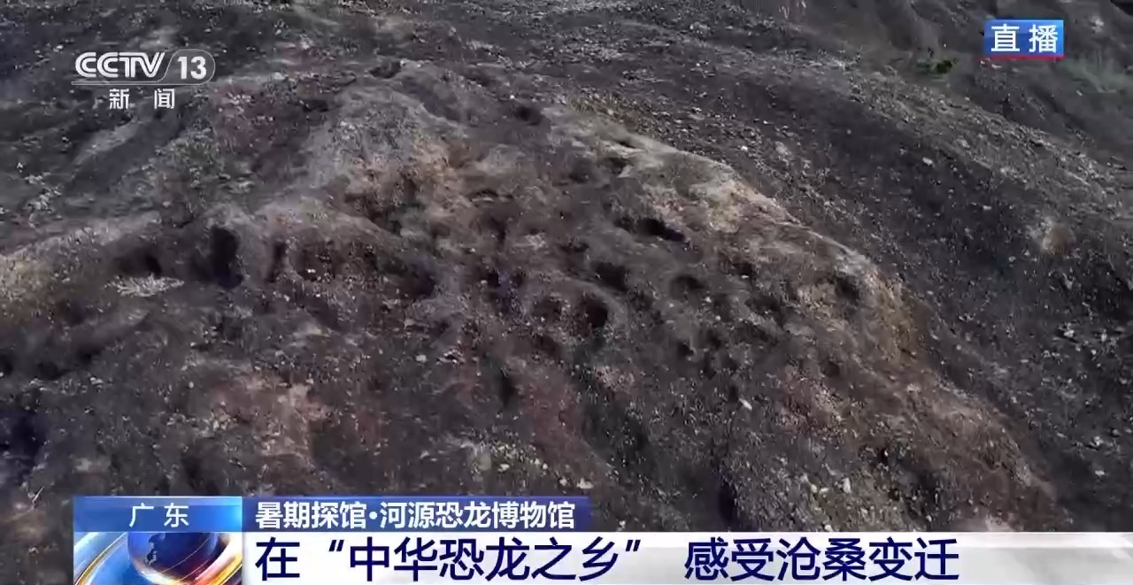 暑期博物馆四大推荐：恐龙蛋、角岛鲸、兵法简、深空展插图2