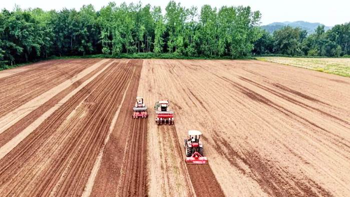 藏粮于技：四川渠县玉米播种跑出“智慧加速度”