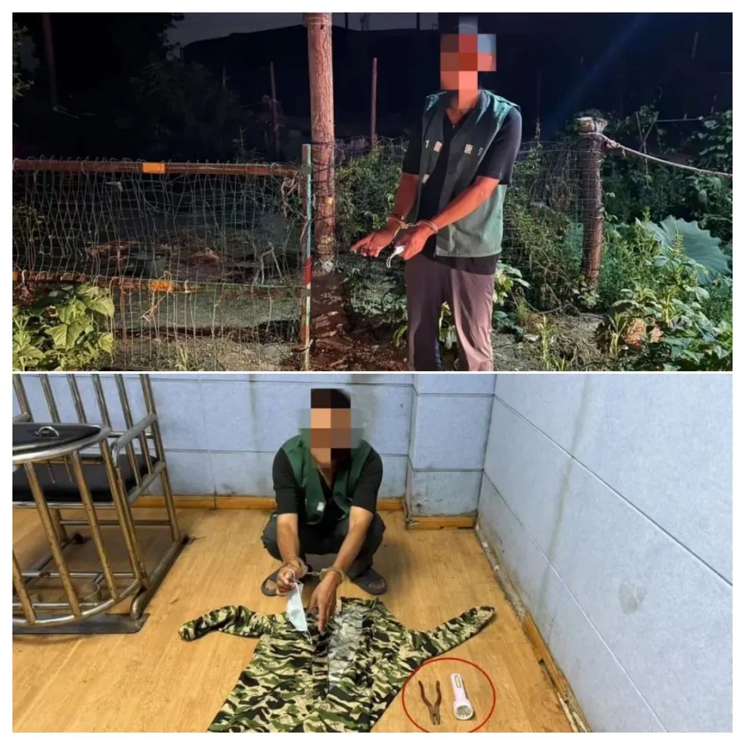 见大鹅肥美为吃铁锅炖大鹅，男子偷鹅被拘插图
