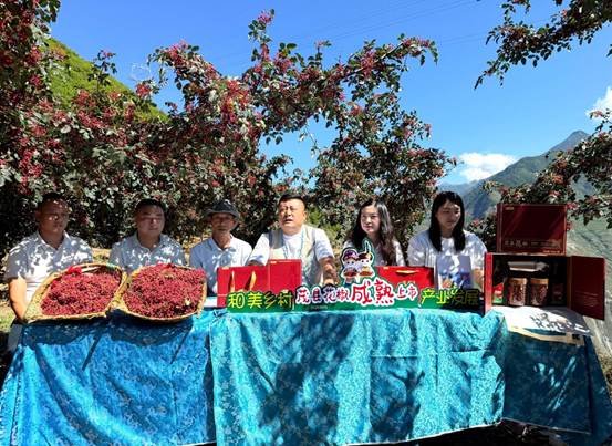 四川茂县花椒上市发布会：产销两端精准对接 促地标产业提质增效助农增收