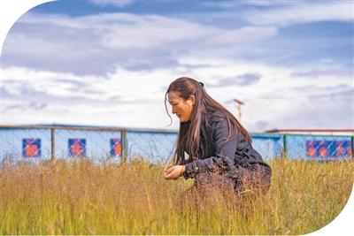 藏北高原有个草业科技小院