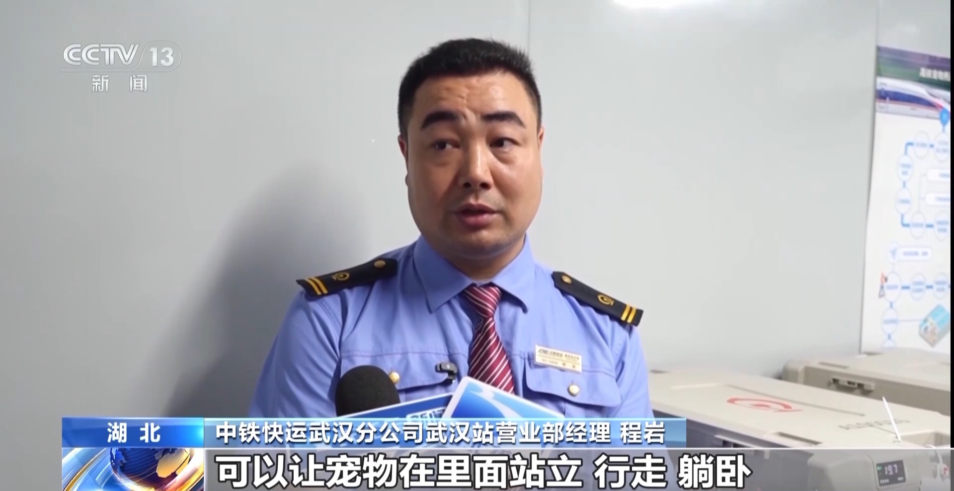 高铁航空齐推宠物托运服务 @爱宠人士 这些要求看过来插图3