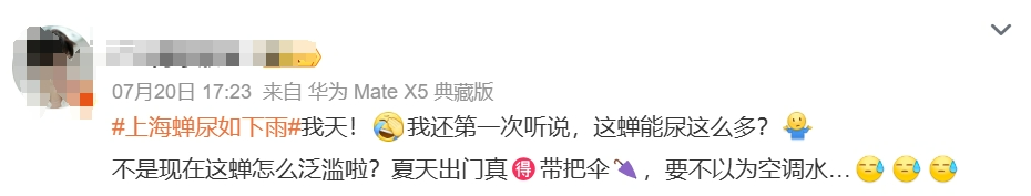 上海市民遭遇困扰：树上滴水，舔了才知道是尿！这物种今年明显增多？专家分析插图