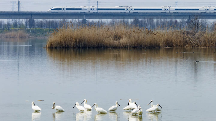 开往春天的列车