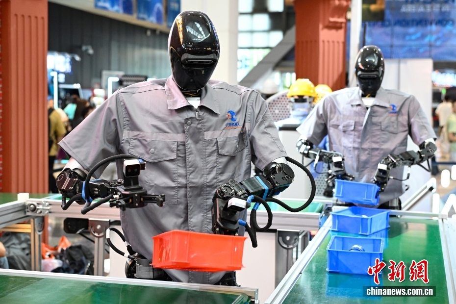 7月26日，青龙机器人在演示物流分拣。当日，2025世界人工智能大会在上海开幕。大会展览面积首次突破7万平方米，吸引了800余家企业参展，集中展示3000余项前沿展品及100余款“全球首发”“中国首秀”新品，规模创历届之最。 中新社记者 汤彦俊 摄