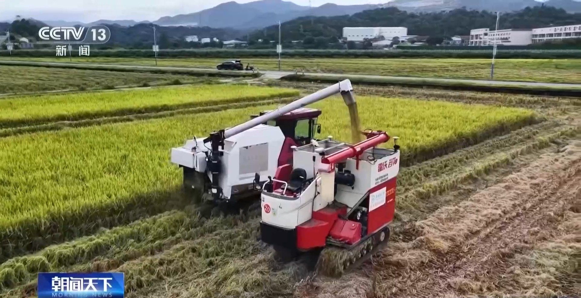 视频丨进度过四成 我国南方早稻迎来大面积收获