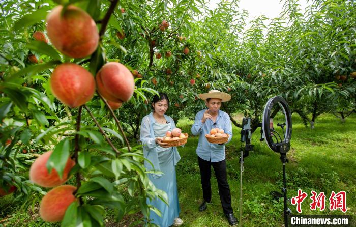 【今日爆料,每日大賽在線觀看】我國首個發(fā)電行業(yè)大模型“擎源”發(fā)布 模型參數(shù)達千億等級