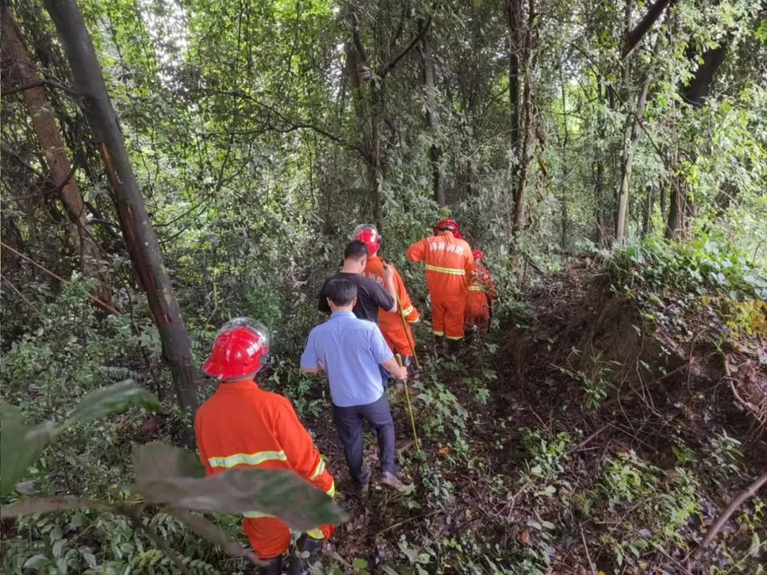 杭州一男子失联，110余人次、无人机、警犬进山通宵搜索，6天后找到：走40公里山路，只为忘记前女友插图2