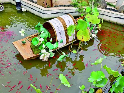 古风隐于市井 文旅融入生活——陕西省宝鸡市深耕历史资源推动文旅发展