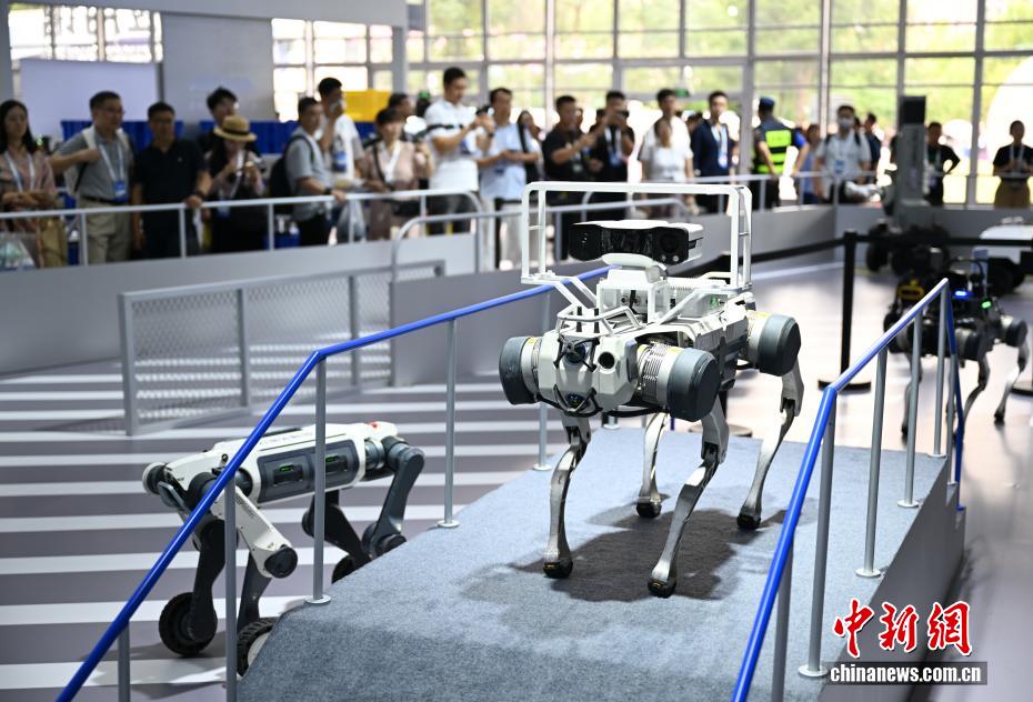 中新社记者 王刚 摄 9月24日，应用于工业领域的四足机器人吸引参观者。当日，2025云栖大会在浙江杭州开幕，大会以“云智一体·碳硅共生”为主题，500余家企业的大模型、具身智能等3500多件产品集中亮相，全景呈现AI的技术演进与产业落地。