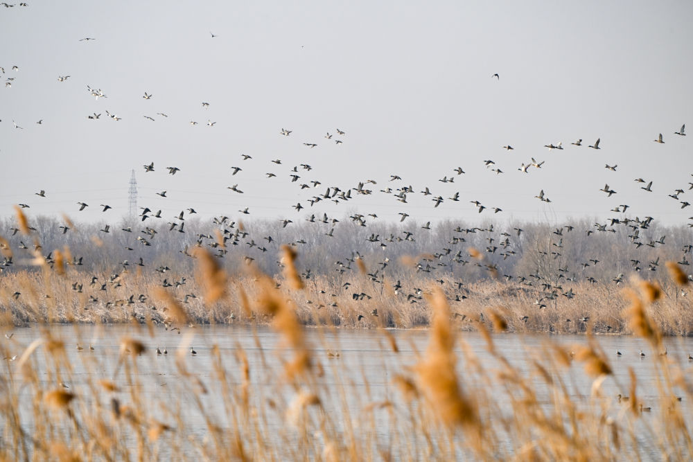 天富在线_天富开户地址_天富注册_microsoft office2013免费破解版下载(word2013/excel2013)