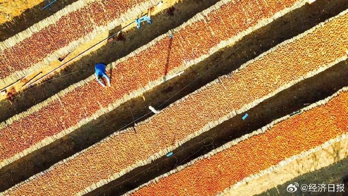 “秋日经济”活力满满 “赏秋+”