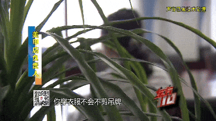 00后女子上海旅游两个月花费0元，衣食住行赖账全靠“薅羊毛”，上海警方：已抓获！插图1
