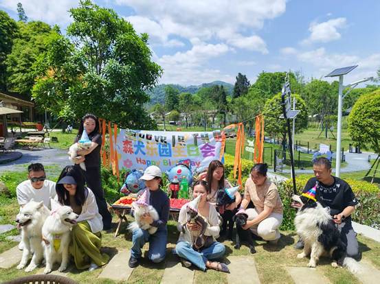 “毛孩子”带火乡村游！邛崃崛起宠物经济新地标