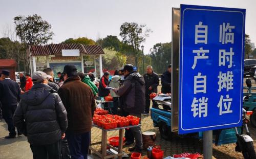 草莓滞销愁坏莓农，南京溧水城管无人机喊话暖心助农