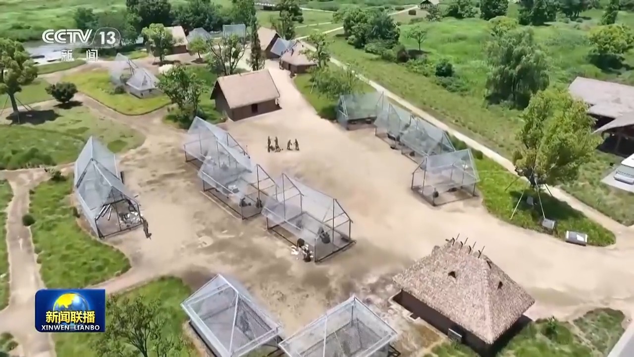 近日,数字赋能下,24小时全程在线的"遗产监测预警系统"在良渚遗址正式