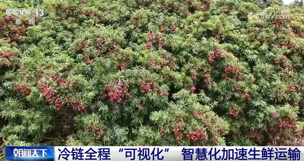 灣區速評丨兩場成功避險轉移背后有兩個細節不能忽視秋葉訓練營