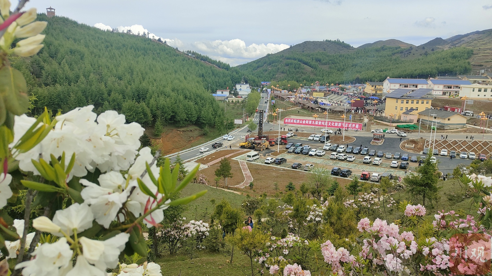 金阳第九届索玛花文化旅游节开幕,十万亩索玛花海助力文旅强县