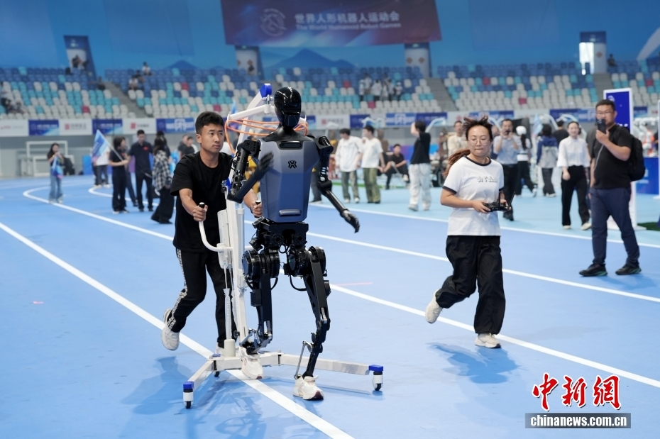 8月13日，在北京国家速滑馆，工作人员训练参加跑步项目的机器人。8月14日至17日，2025世界人形机器人运动会将在北京国家速滑馆（冰丝带）举行。来自全球五大洲16个国家的280支队伍、500余台人形机器人将展开26个赛项、538个比赛项目的竞技对决。中新社记者 张祥毅 摄