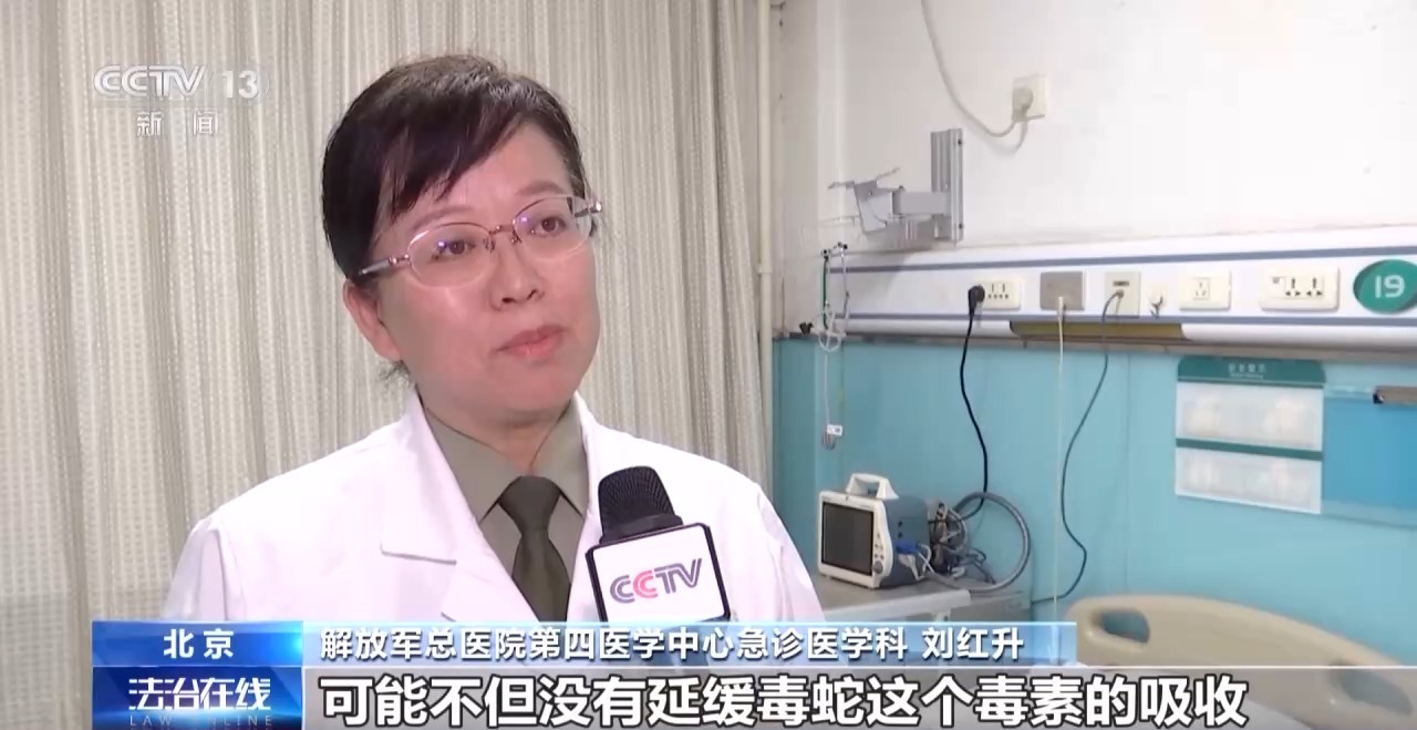 夏季“蛇咬伤”频发 这些常见操作可致截肢！医生提醒插图7