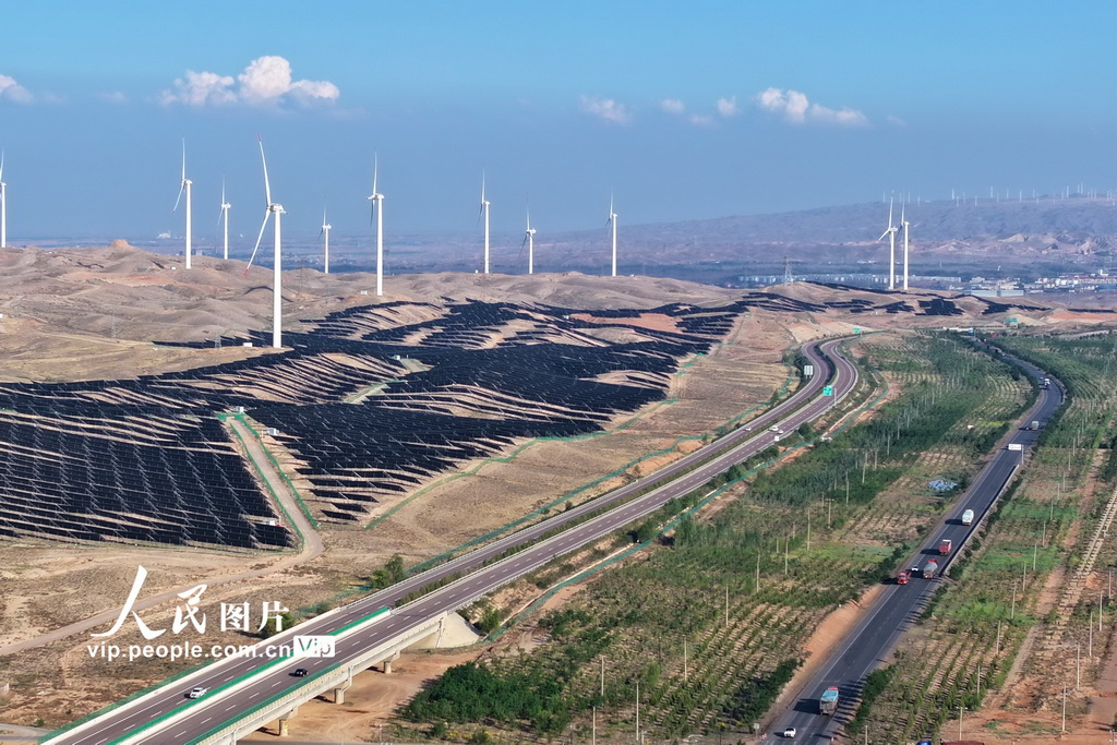 宁夏青铜峡：戈壁滩上好“风景”插图