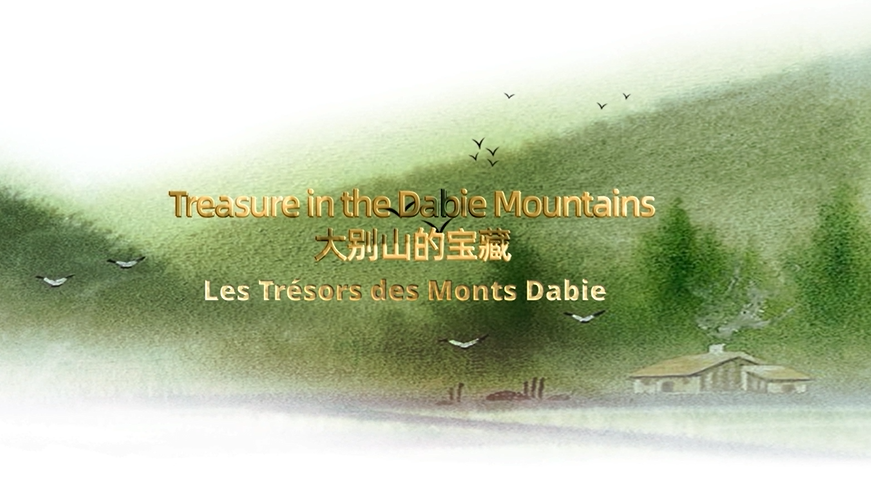 Les trésors des monts Dabie