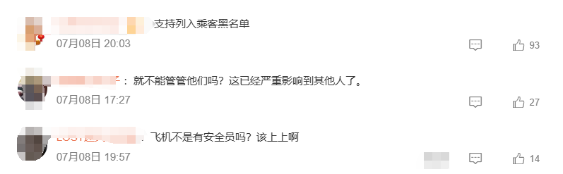 飞机着陆前粉丝闯进公务舱追星，有啥法律后果？律师解读插图5