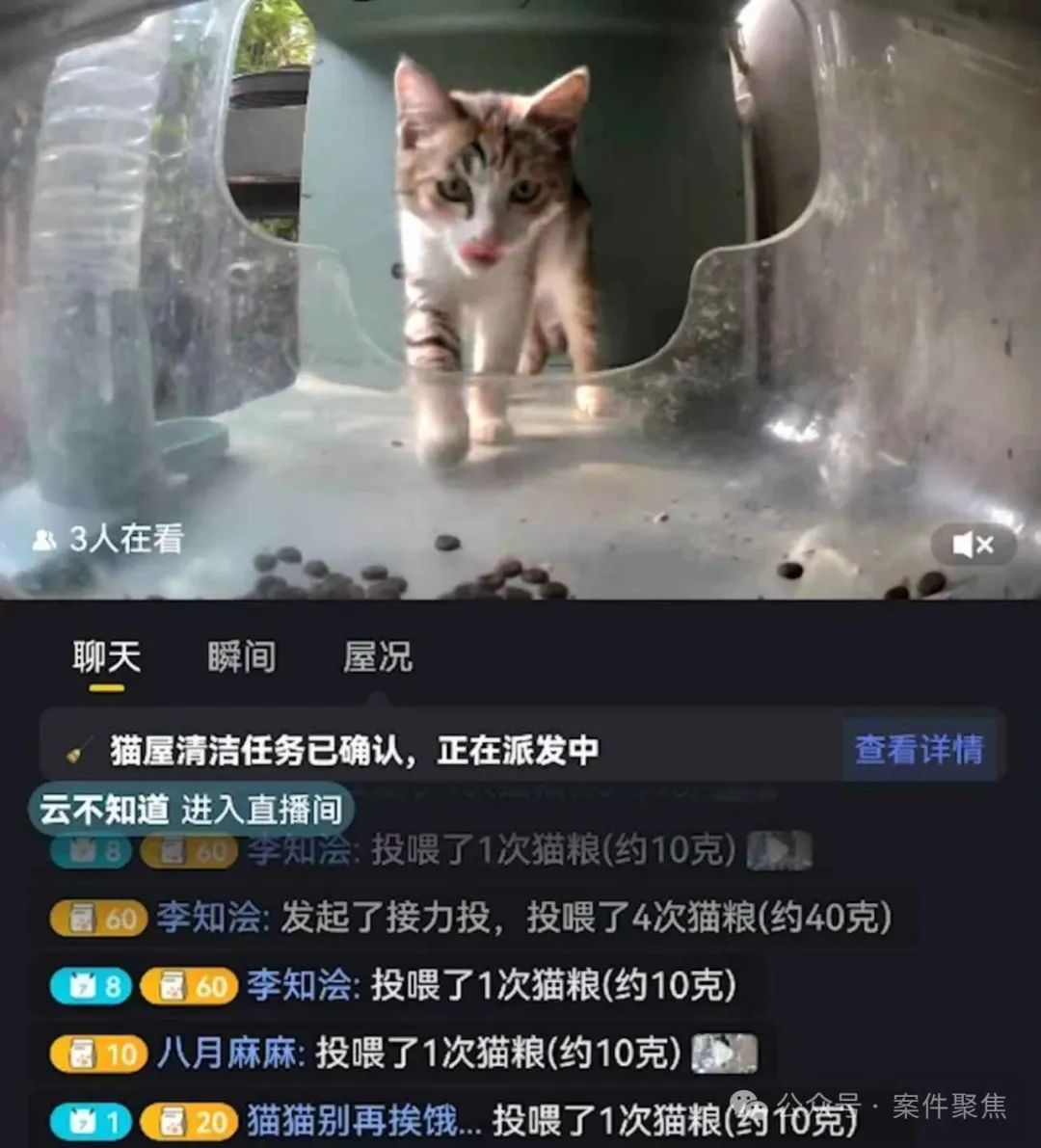 上海不少小区出现这种绿箱子，特别容易臭！律师提醒：需注意法律风险插图1