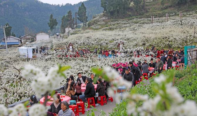 四川宣汉：以花为媒兴产业 春日花海变身富民“钱袋子”