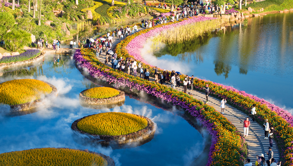 广西南宁：市民乐享冬日浪漫