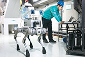 河北雄安新区：机器狗“电工”上岗