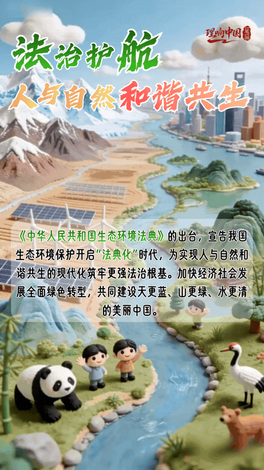 理响中国·一笔一画｜法治护绿！“典”亮美丽中国