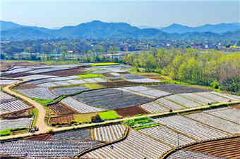 江西兴国：抢农时 忙农事