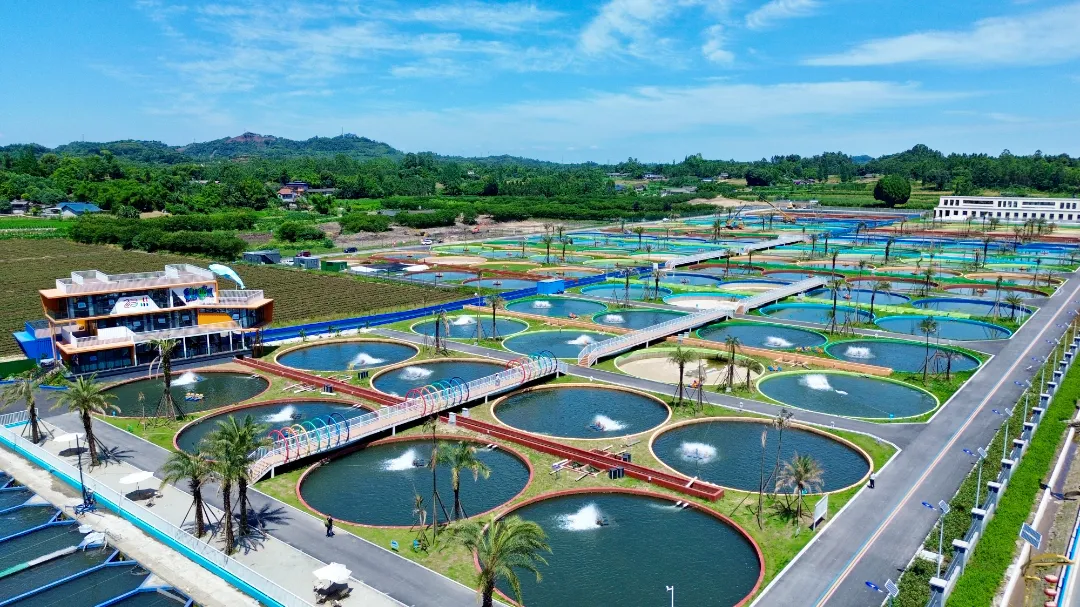 9家中省媒体走进乐山沙湾   实地探访“一条鱼”产业新图景