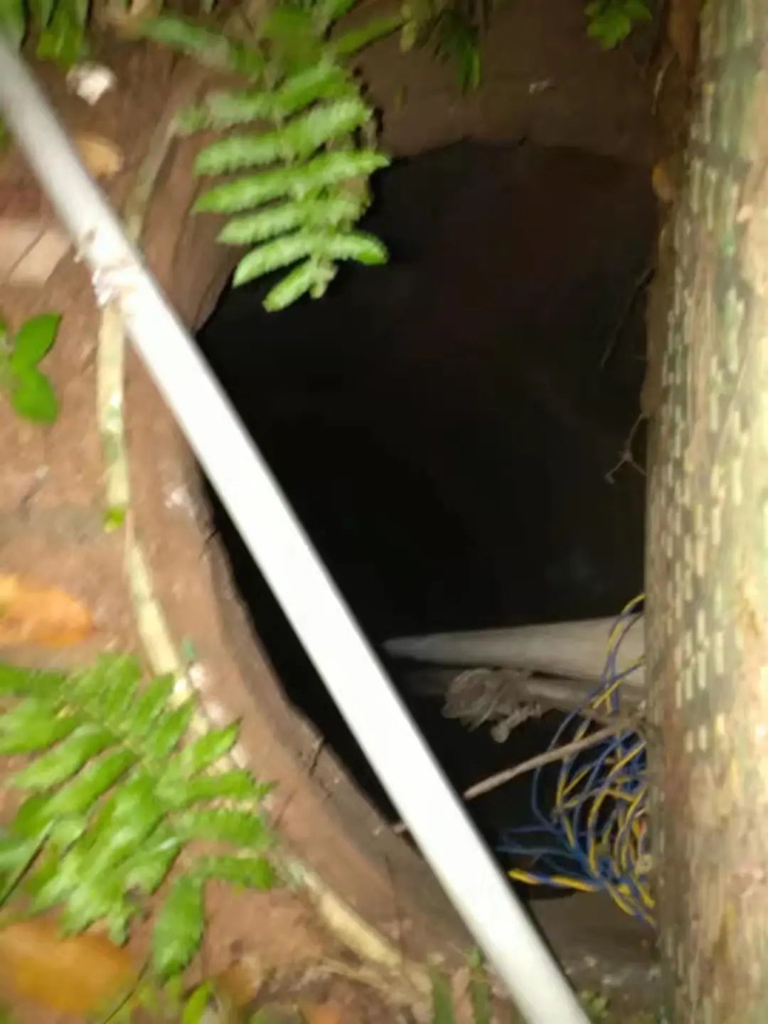 一12岁男孩小区内不幸身亡，原因让人痛心插图1
