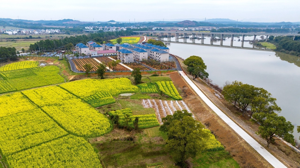 江西吉水早春时节秀美乡村入画来