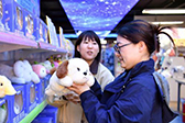 雄安新区：AI赋能百亿毛绒玩具产业