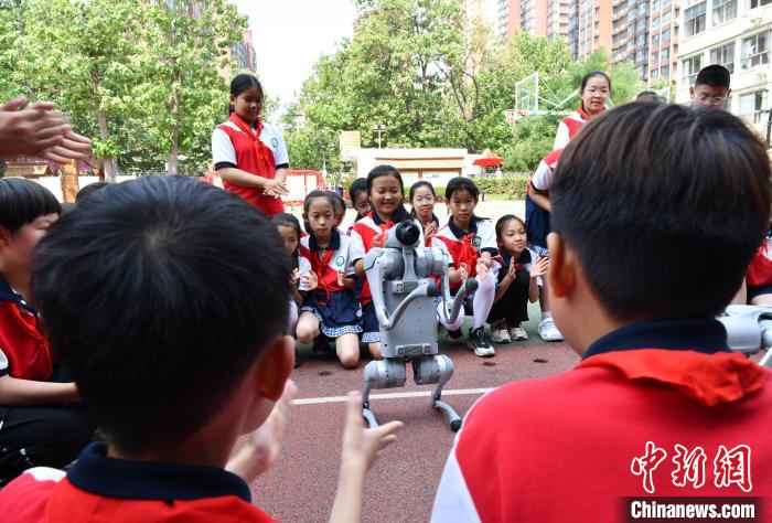 5月27日，河北省石家庄市育才小学，学生与机器狗互动。中新社记者 翟羽佳 摄