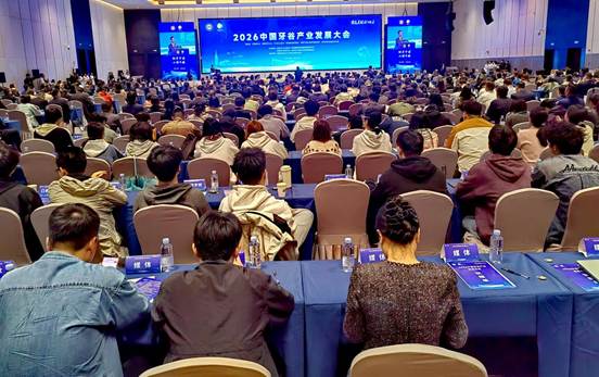 四川资阳：十年磨一“齿” 再启新征程