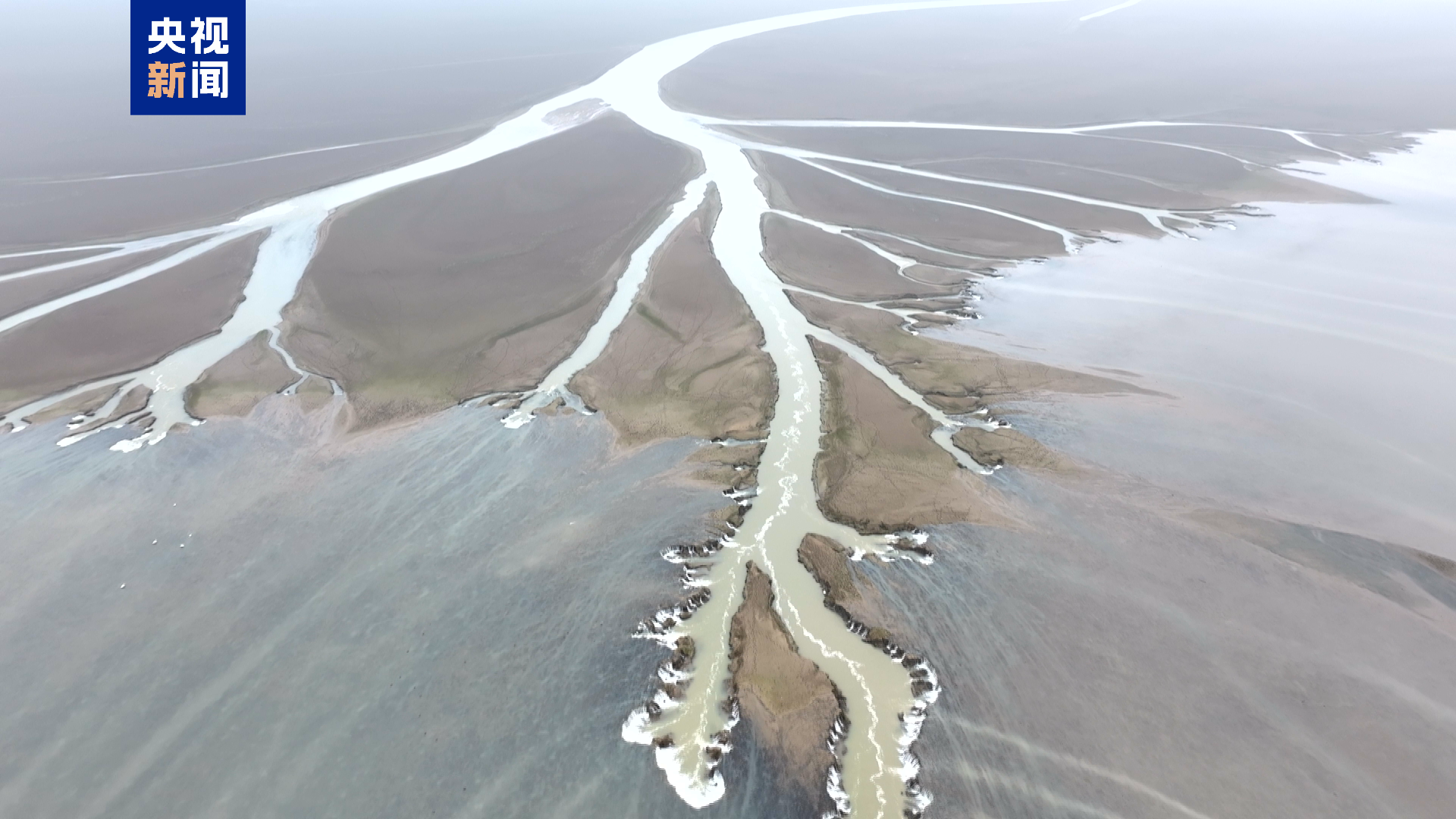 鄱阳湖进入枯水期 金溪湖水域现“大地之树”景观